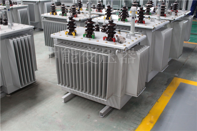 台州S22-250KVA/10KV变压器